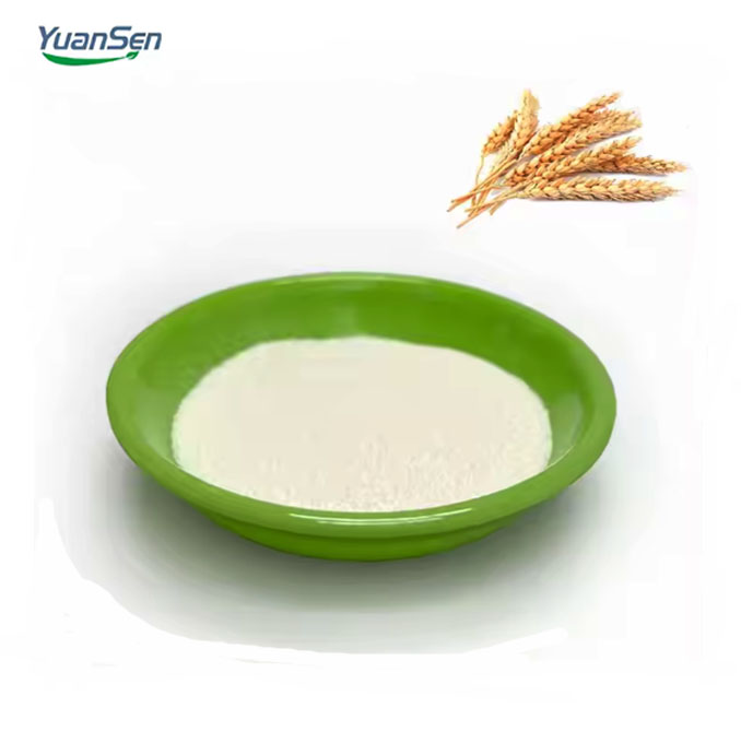 Textured Rice Protein Vegan Protein Private Label Weight Gain Protein Powder