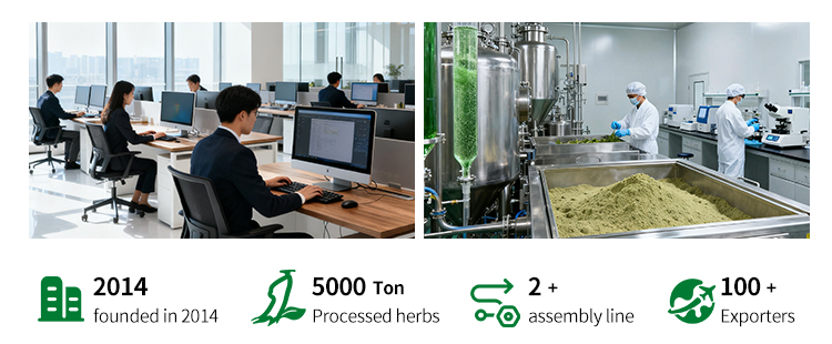 Pumpkin Seed Extract Process 9