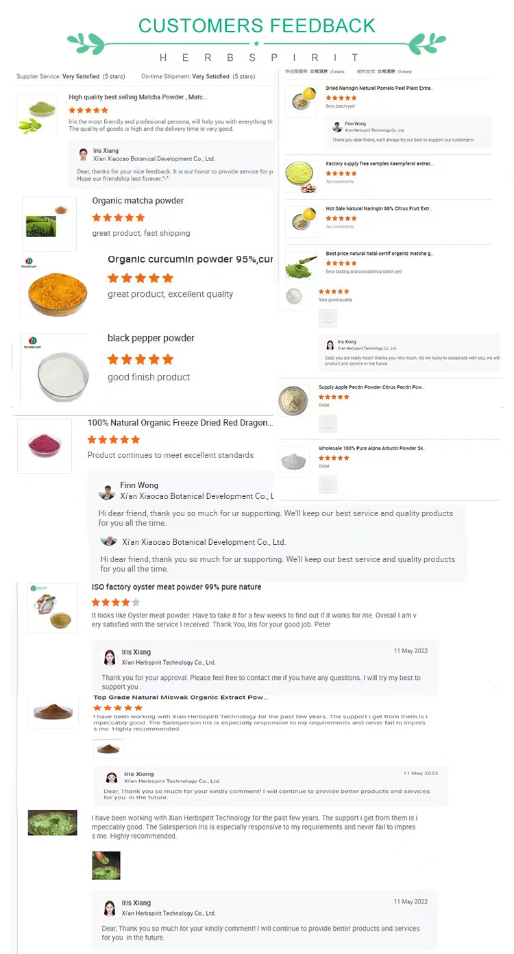 Client Feedback