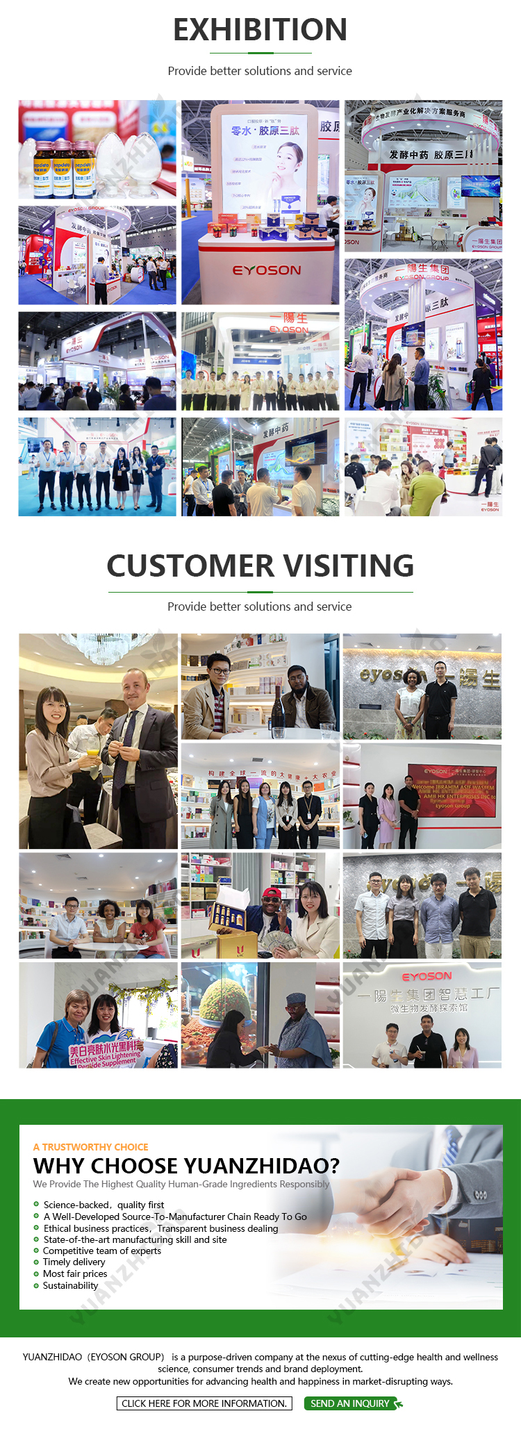 Product Display 7