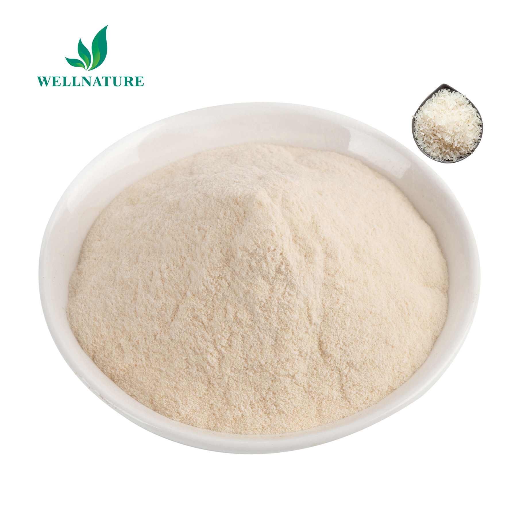 Factory Sale Vegan Protein Organic Protein Powder Rice Protein Powder