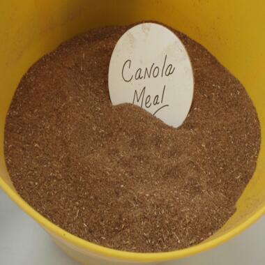 Organic Rapeseed Meal Meat and Bone Meal Canola Meal-US Origin 10kg High Protein For Sale