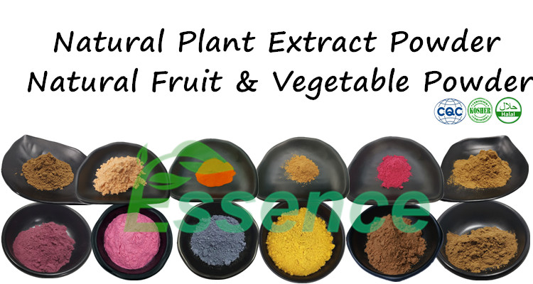 100% Natural Potato Powder Concentrate Bulk Potato Protein Powder