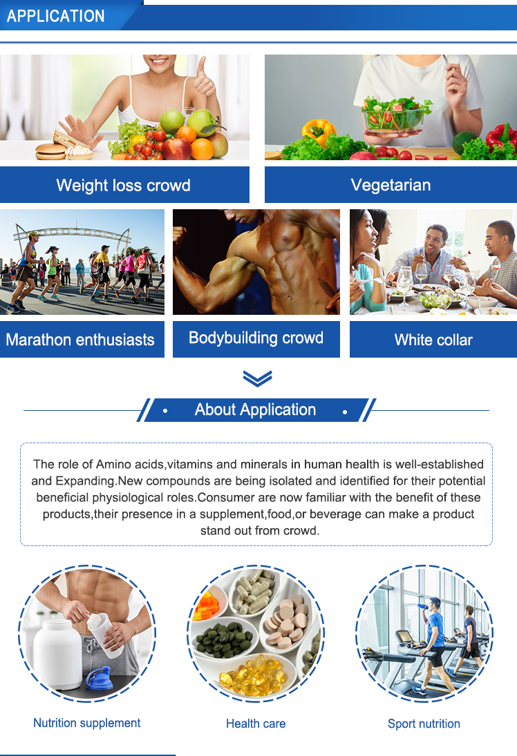 Detailed Soy Protein Product Analysis