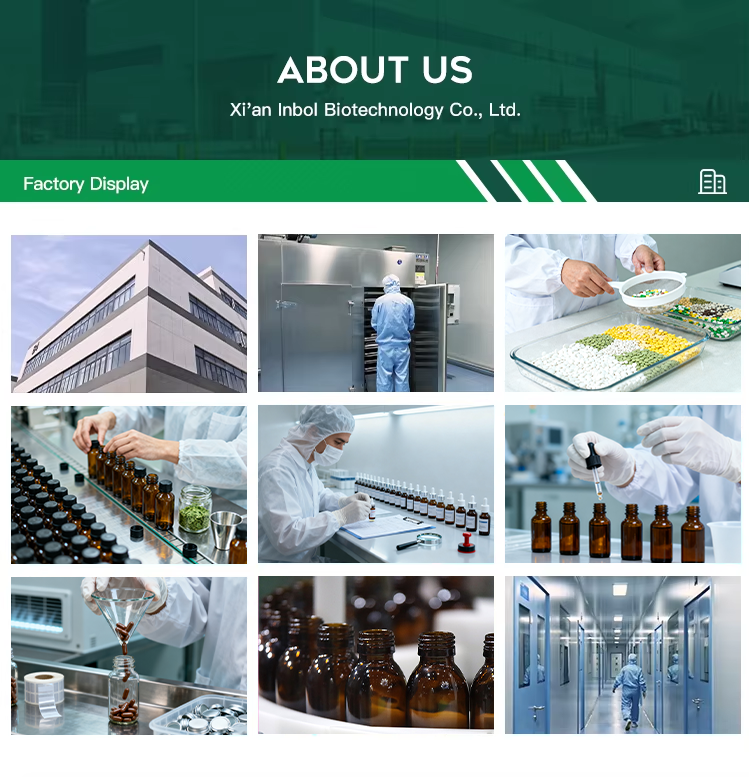 Lab and Equipment