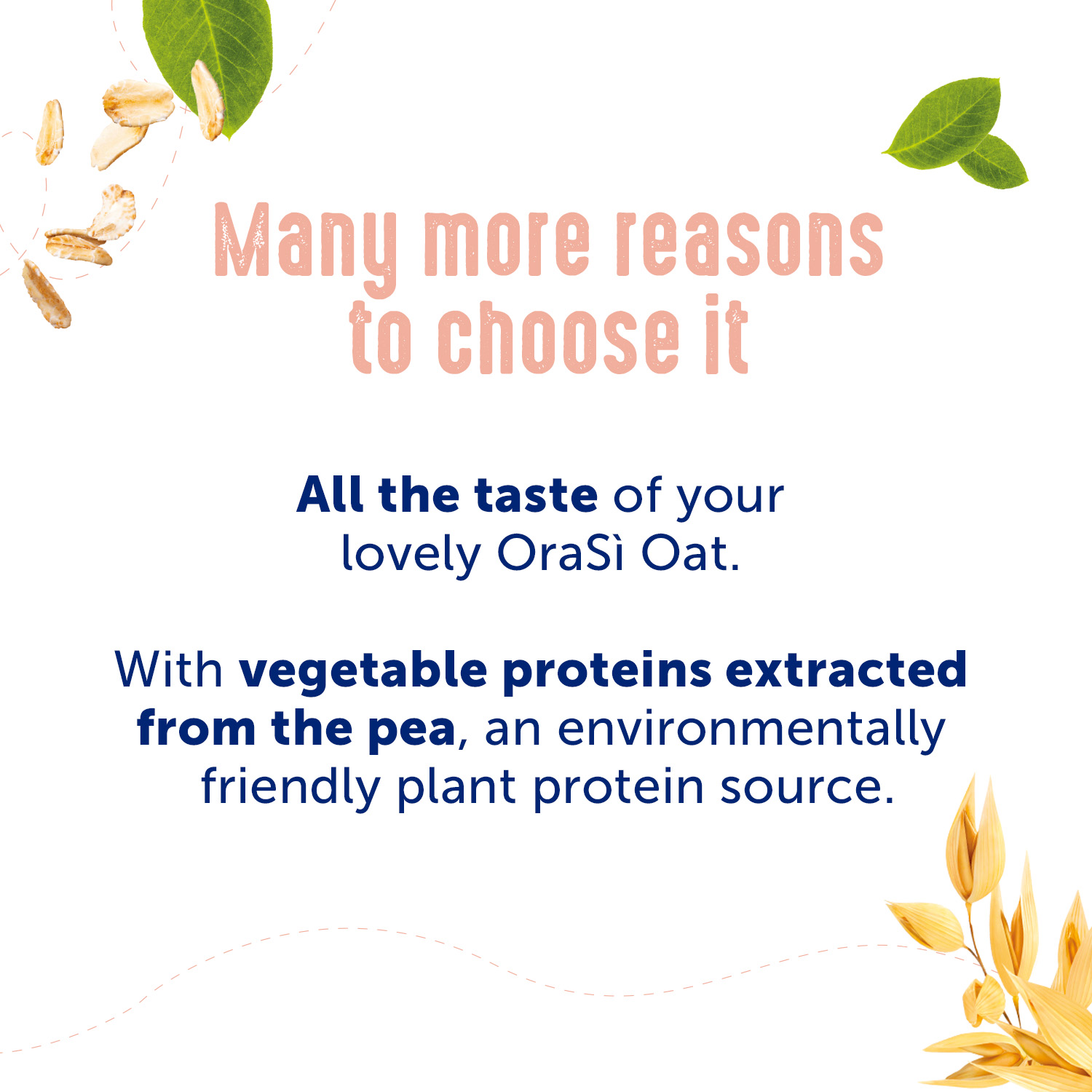 OraSi Plant Based Drinks Oat+ Protein 1 liter 12 units
