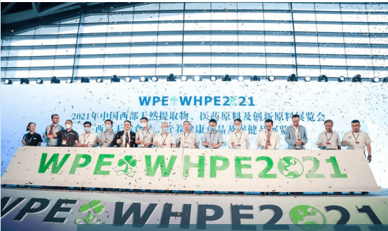 Exhibition Banner Showcase