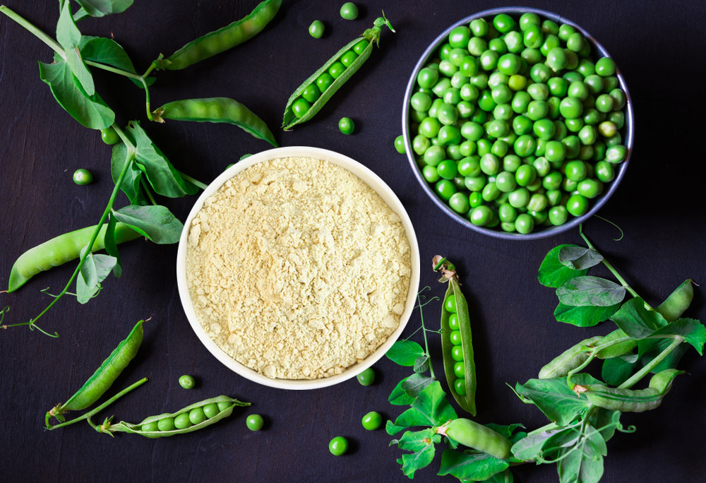 Wholesale High Quality Organic Isolate Pea Protein Powder Price