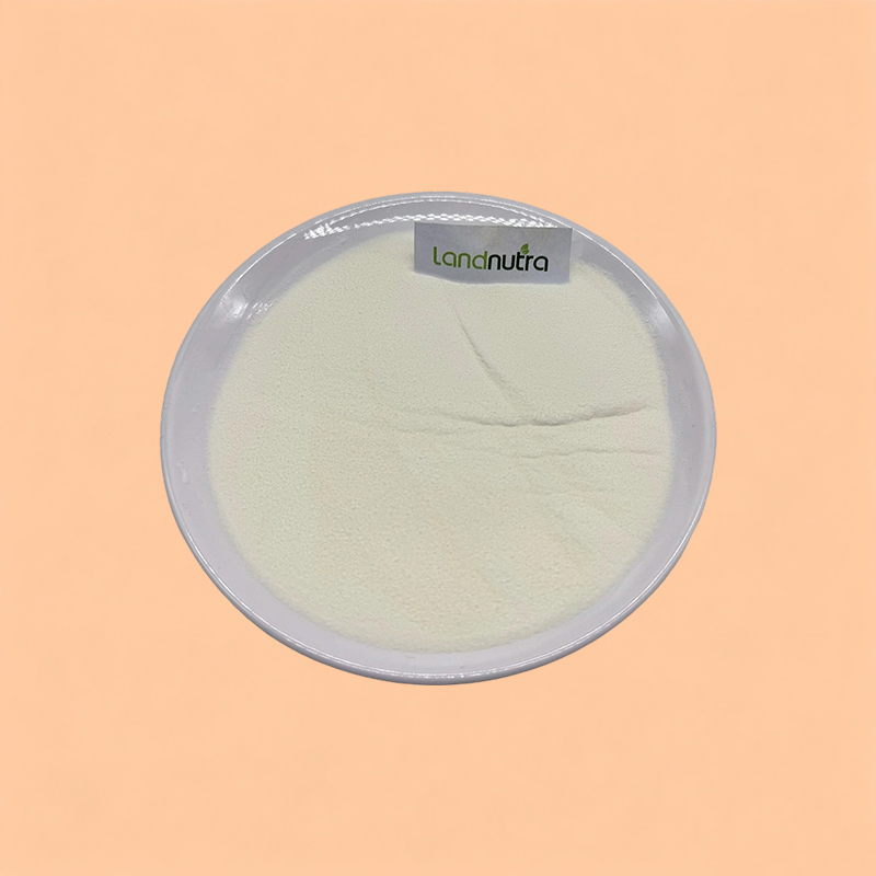 Best Product Food Additives Hydrolyzed Oat Protein Powder for Different Use 90% Protein Hydrolyzed Oat Peptide Powder