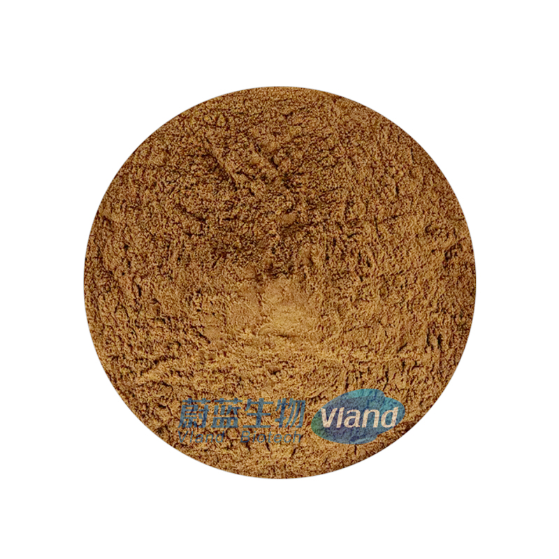 Pumpkin seed protein