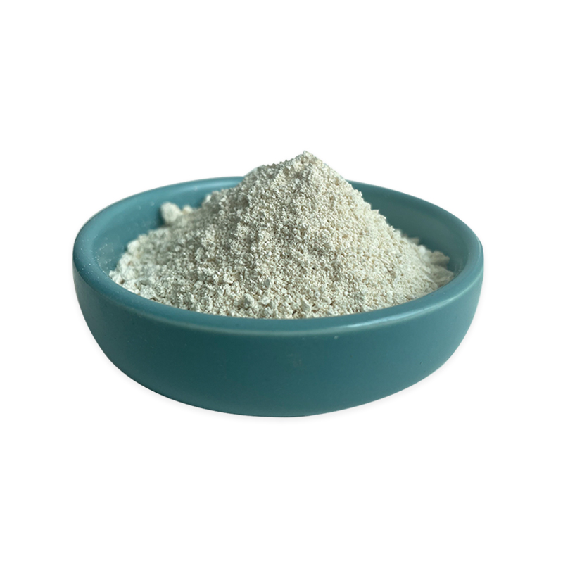 Factory Supplier Pumpkin Seed Protein Powder Pumpkin Seed Protein 10% 60% 70%