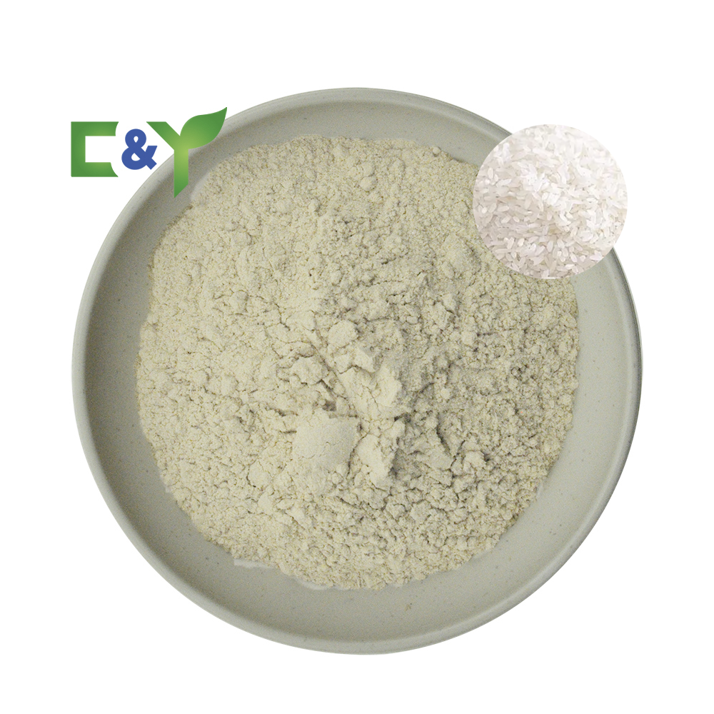 Brown Rice Protein Powder Wholesale Price Bulk Brown Rice Powder Rice Protein Powder