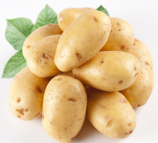 Top Quality Pure Natural Potato Protein Powder
