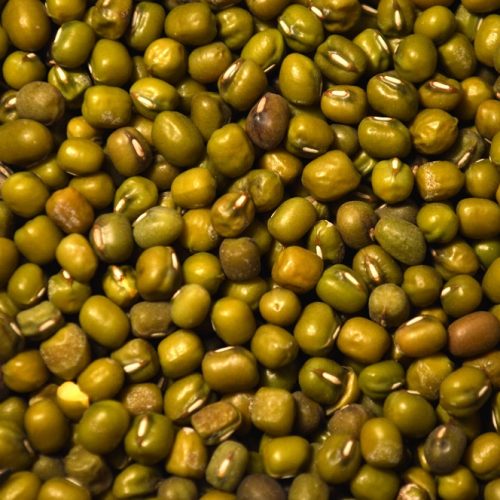 High Quality Buyers Premium Dried Bulk Natural Protein Green Mung Beans