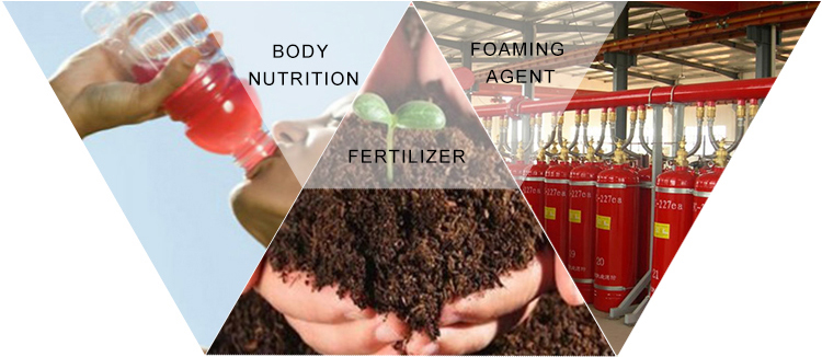 High Protein Animal Feed Poultry Feed