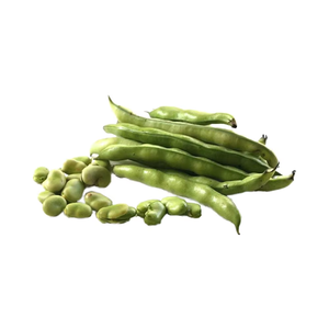 Total Organic Dried Fava Beans High Protein in Bag Packaging From Egypt for Food Use