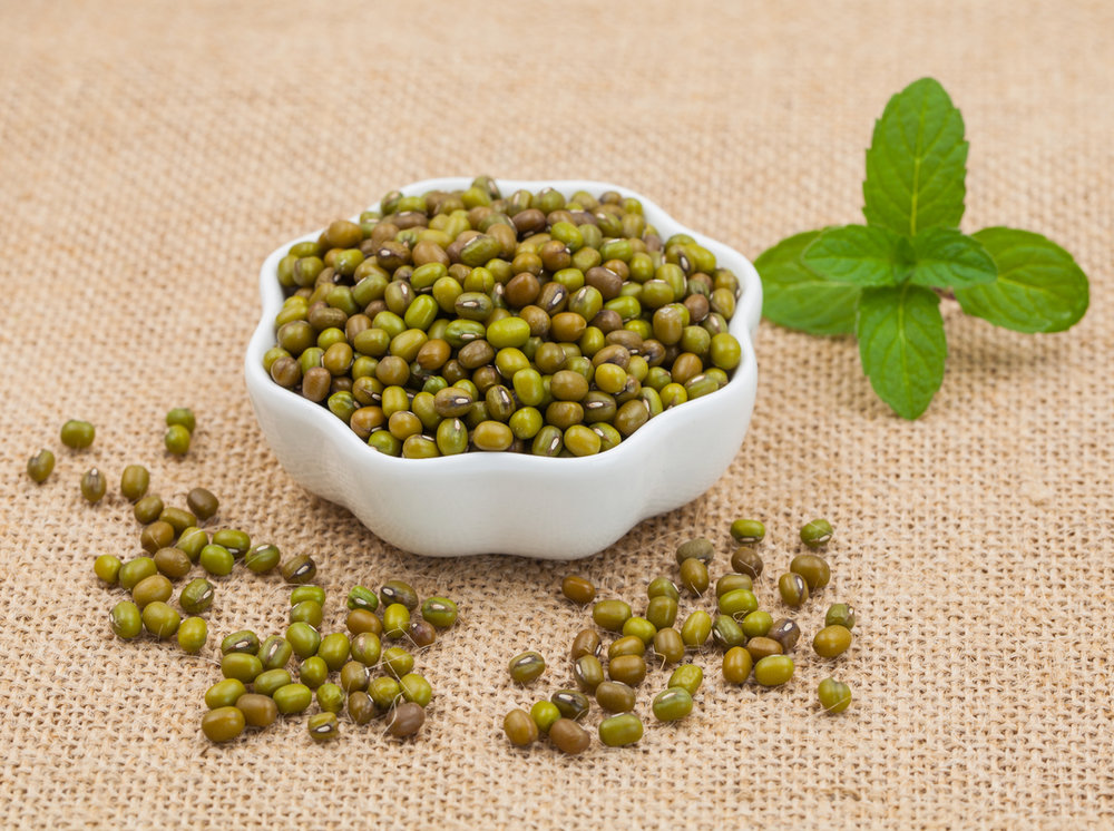 High Quality Mung Bean Protein