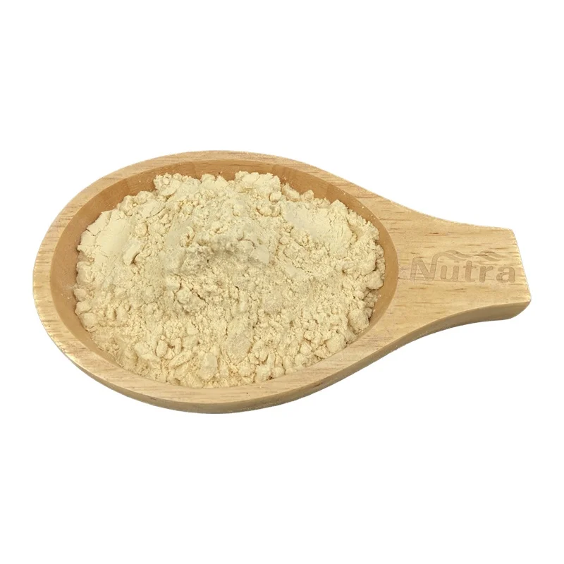 Best Quality Factory Supply Bulk Chickpea Protein Hot Sale Organic Chickpea Protein for Drinking