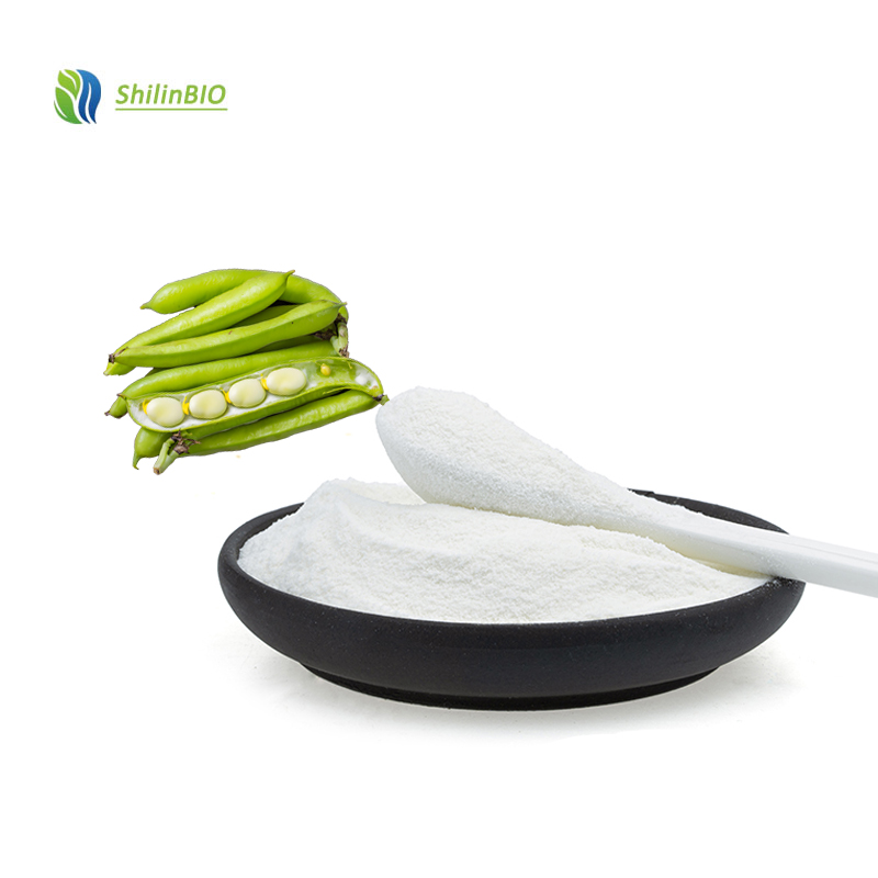 Introduction to Broad Bean Protein