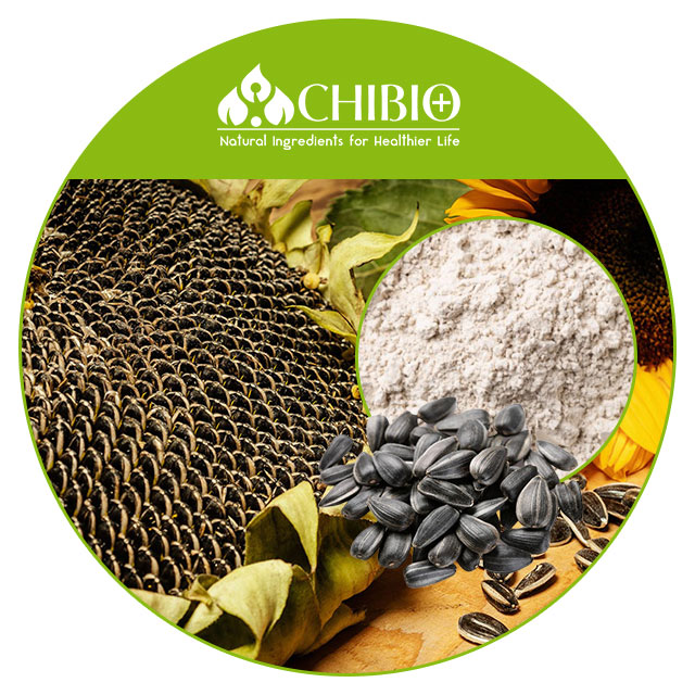 Organic Protein Sunflower Seed Protein Powder with Low Fat Protein fusion