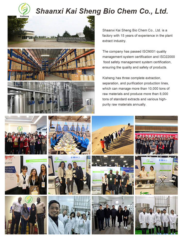 Production Facility & Lab