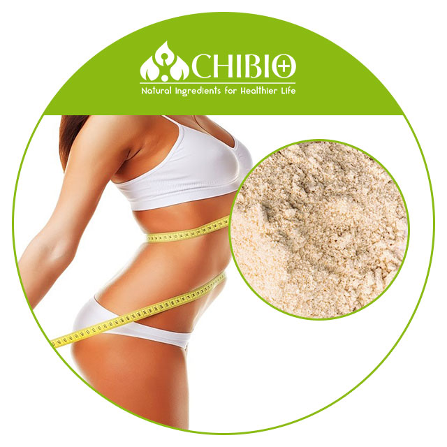 Factory Supply Organic Oat Protein Powder Bulk Price for Body Health Nutritional Food