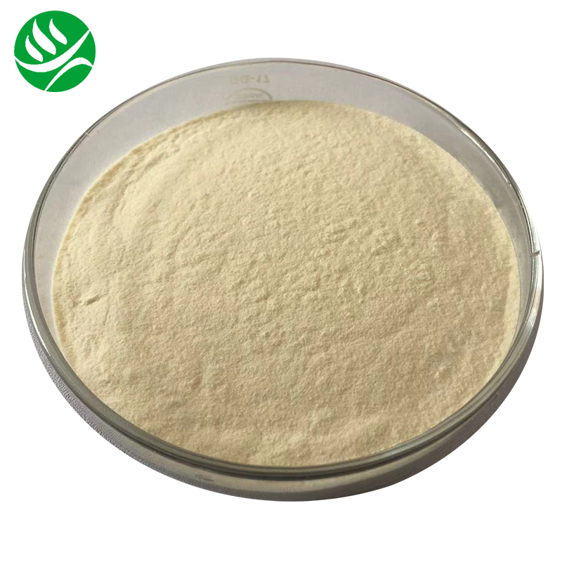 Factory Supply Food Grade Hydrolyzed Canola Protein Powder Hydrolyzed Canola Protein Isolate Powder