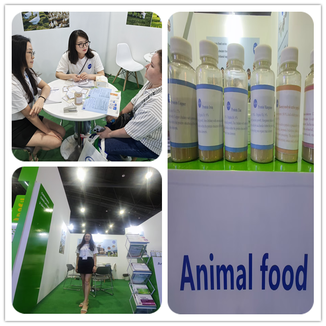 Fermentation Process Soy Protein Hydrolysate Powder with 50% Crude Protein in Animal Feed Applications