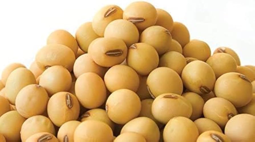 Premium Non GMO Soybeans High Protein Bulk 50kg Bags Export Quality Grade Moisture 13% Minimal Impurities Sunrise Impex 12