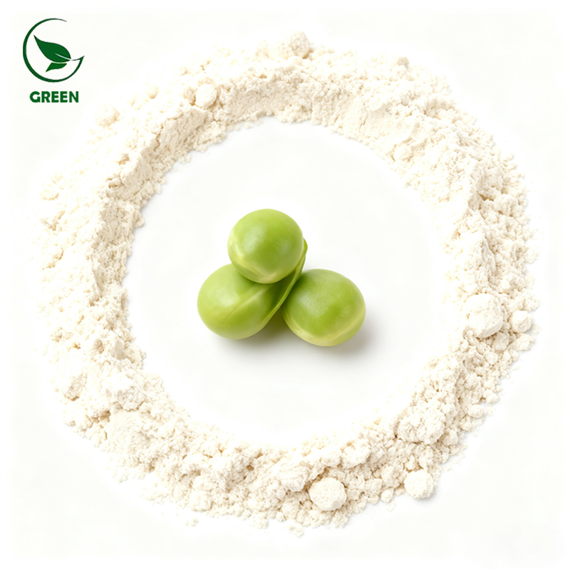 Natural Plant Based Top Quality Organic Hydrolyzed Pea Protein Powder