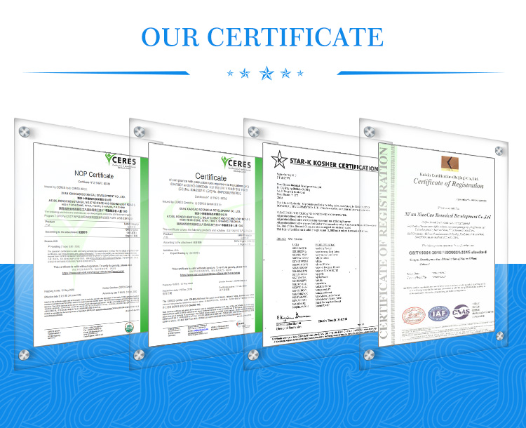 High Quality 100% Pure Potato Extract Dry Potato Powder Potato Protein Powder