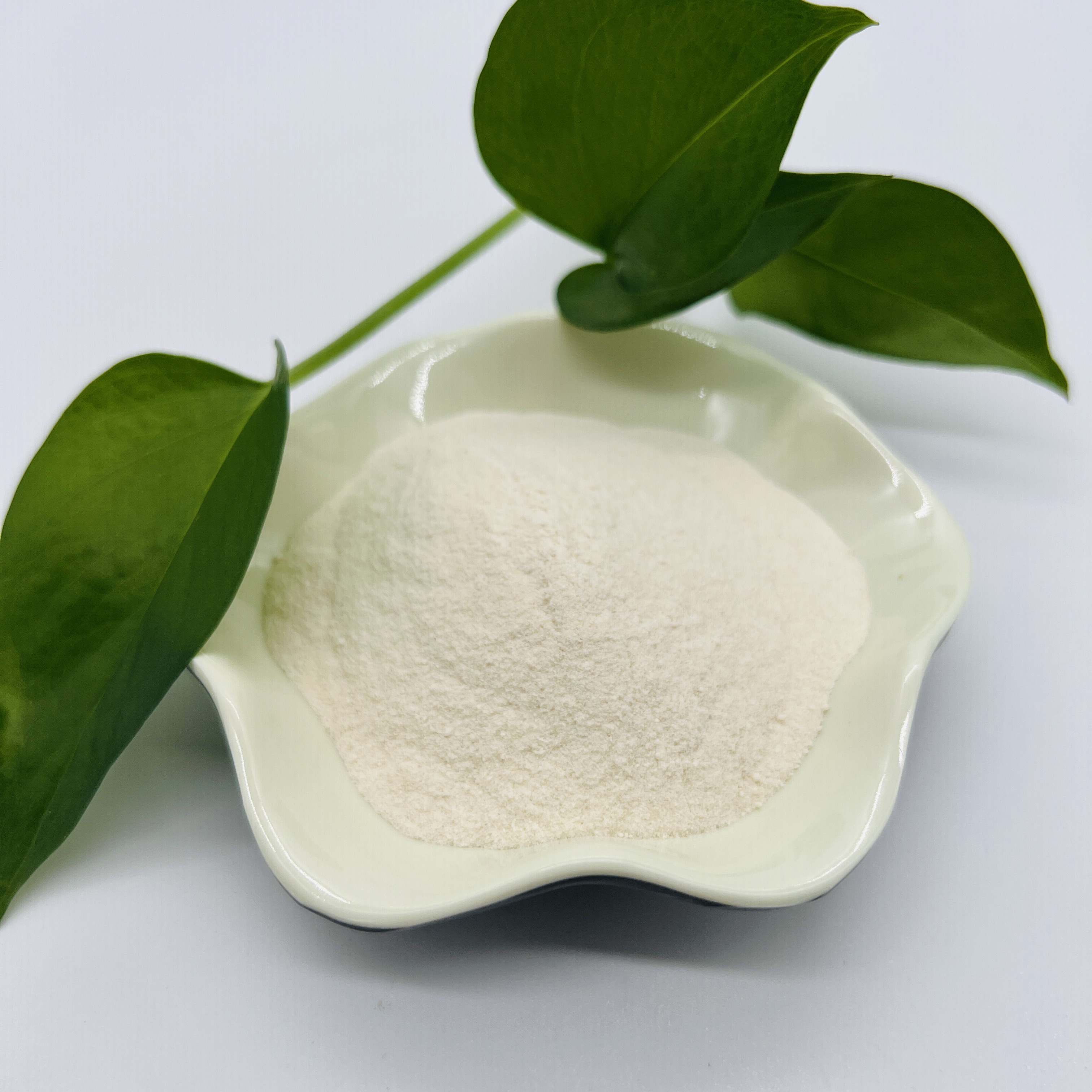 Food Grade Water Soluble Soy Protein &amp; Soybean Peptide Powder 20kg Drum Packaging