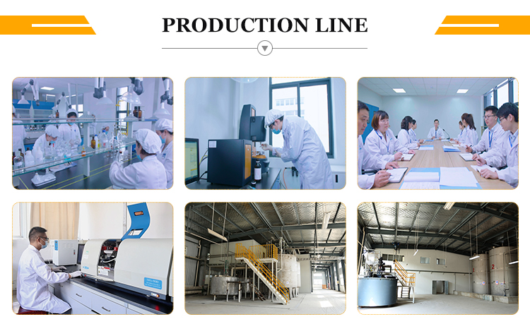 Production Line Process
