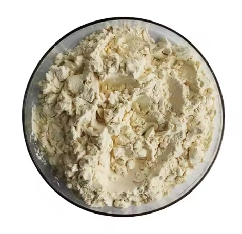 Fairir Factory Wholesale Corn Oligopeptide Corn Protein Peptide for Health Food Protein Peptide