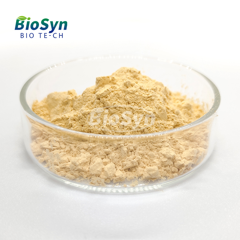 BioSyn Hot Selling Food/Feed Grade 70% Soy Protein Concentrate Powder