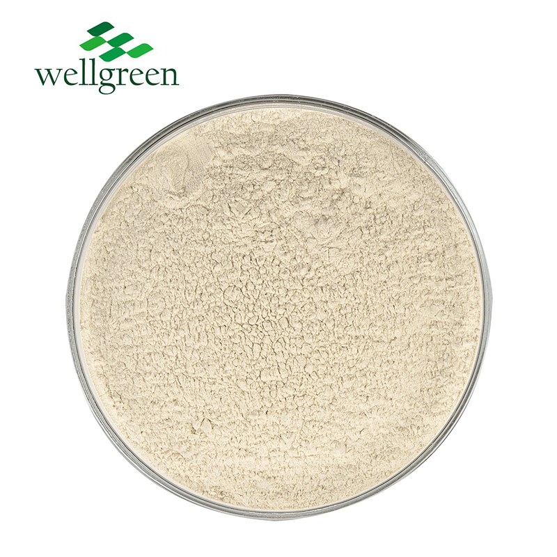 Wholesale Bulk Feed Food Grade Instant Additive Potato Protein Powder