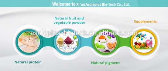 Our Main Products