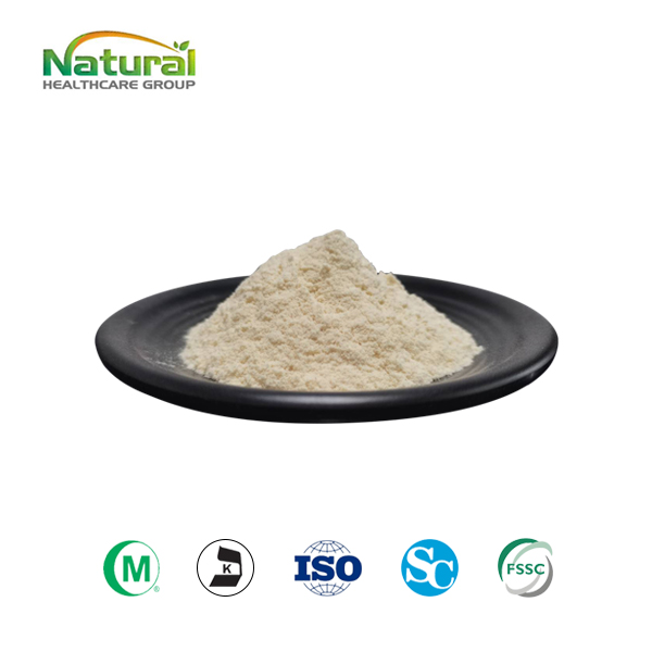 Organic Sunflower Seed Protein Pack