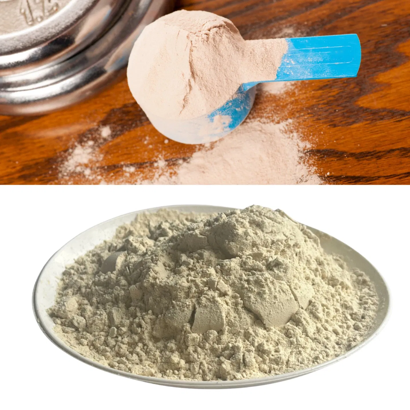 Yeast Protein Extract with High Content of Plant-Based Protein on Sale