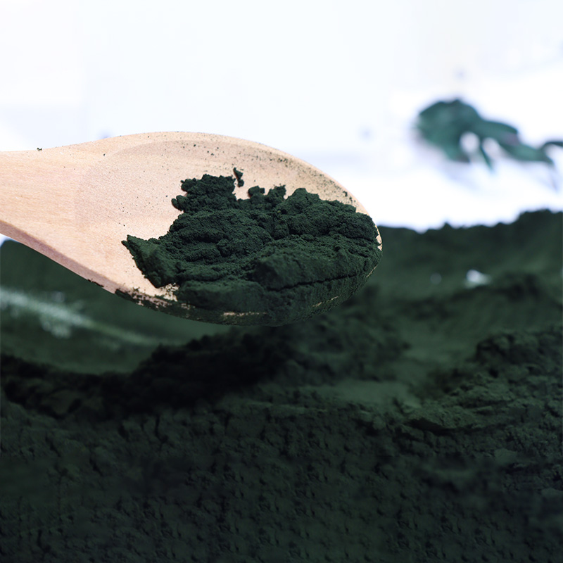 Manufacturer Wholesale Bulk Organic Premium Nutrition Protein Supplement Natural Green Microalge Spirulina Extract Powder