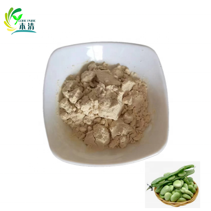 High Quality Organic Fava Bean Protein Isolate Powder Food Grade Liquid Extracted From Seeds Packaged in Bag or Drum