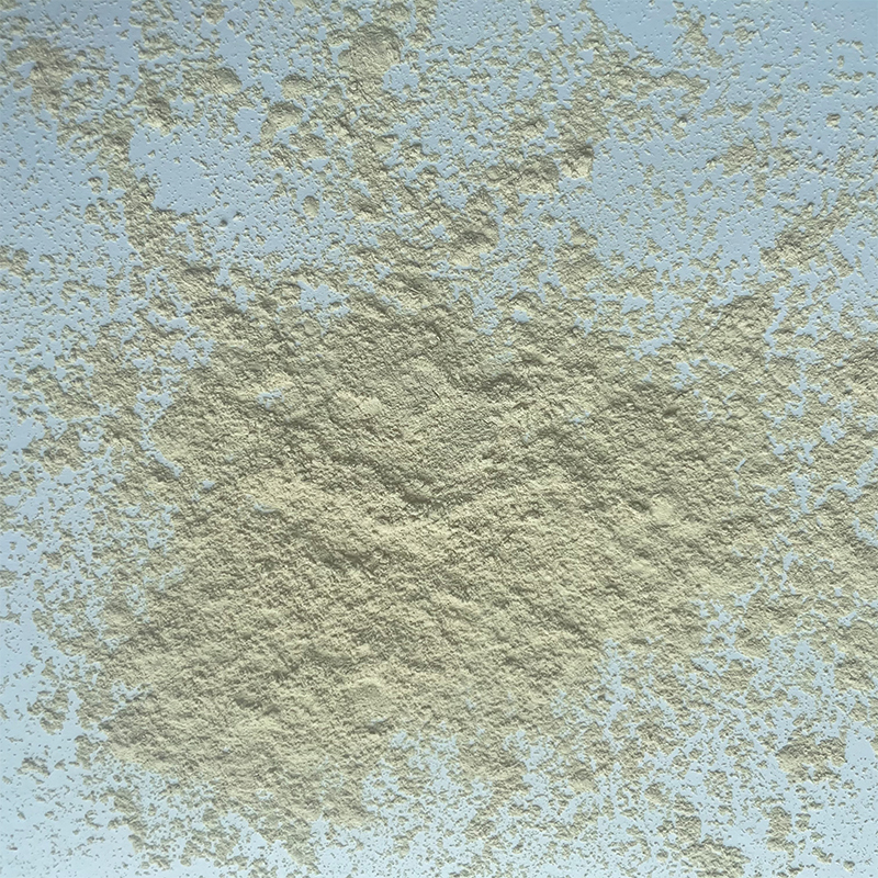 Chickpea Protein Powder Processing