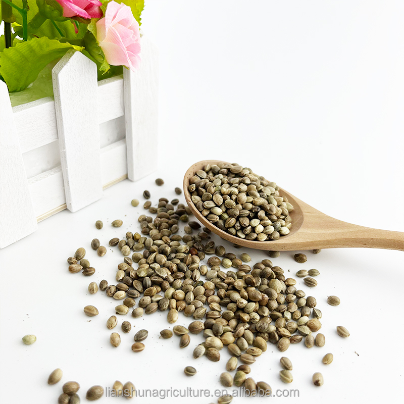 Hemp seed sorting
