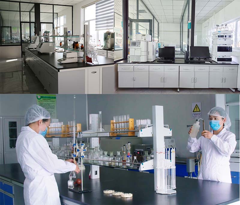 Food Grade Soy Protein Isolate /isolated Soy Protein Powder for Sale