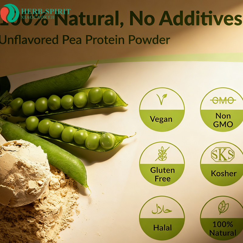 100% Organic Hydrolyzed Pea Protein Isolate Powder Non-GMO Pea Protein Isolate 80% Powder | Plant-Based Vegan Protein