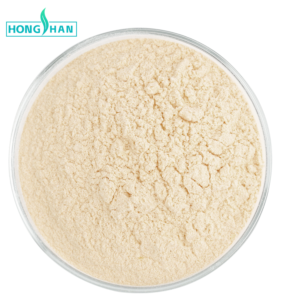 Sunflower Protein Powder Sample