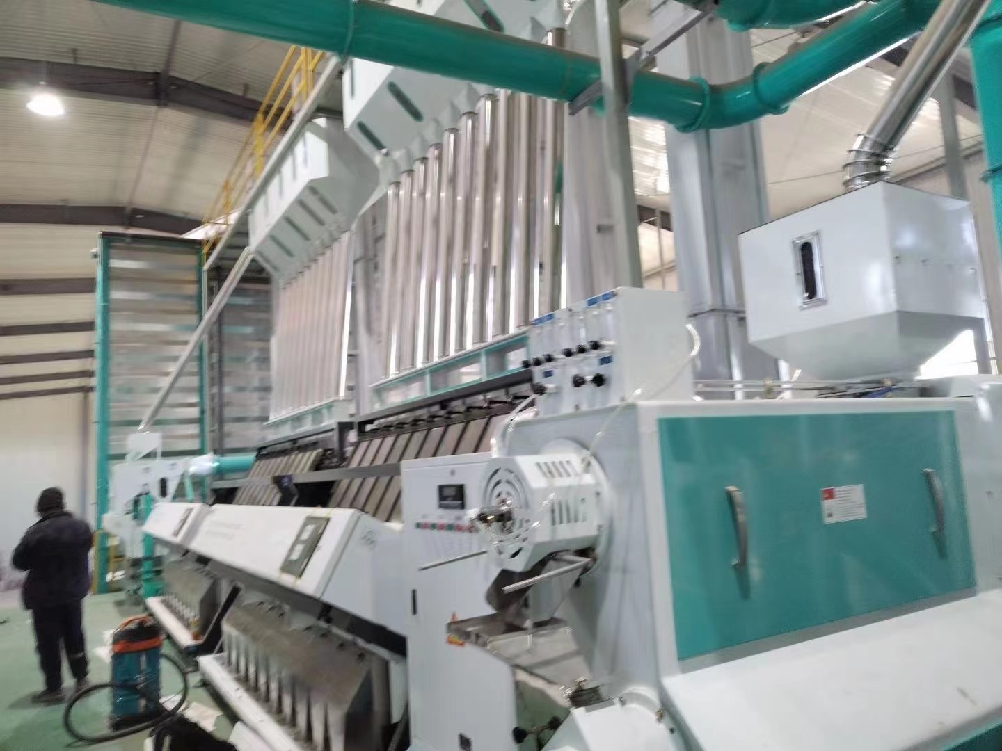 Grains sorting machine