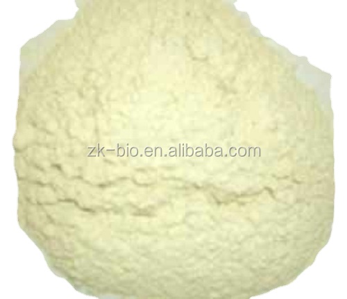 High Quality Organic Hydrolyzed Rice Protein Peptide