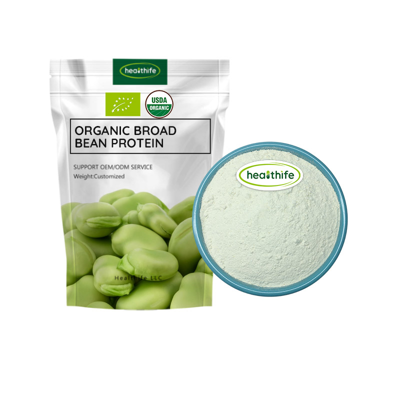 FocusHerb Bulk Price Broad Bean Protein Powder 90% Organic Fava Bean Protein