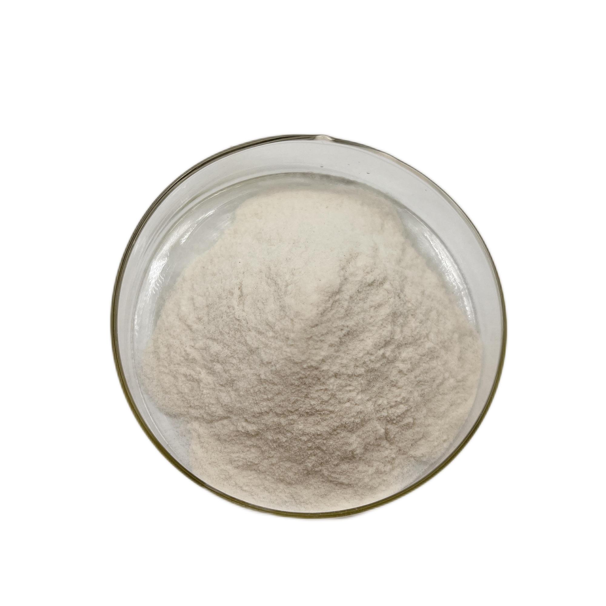 Wholesale High Quality Chinese Sunflower Seed Protein Powder Sunflower Seed Sprout Protein Extract Sunflower Protein Powder